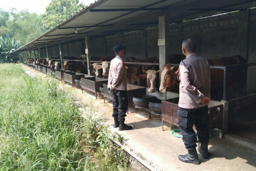 Polri Bantu Awasi Penanganan Penyakit Mulut dan Kuku Hewan Ternak