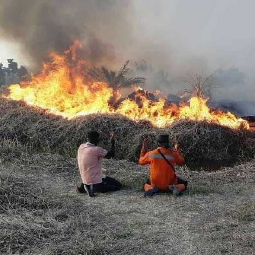 Jarak Pandang 5 KM, Titik Api di Riau Terpantau 29 Titik Hari Ini