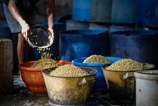 Pemerintah Prediksi Harga Tahu Tempe akan Naik