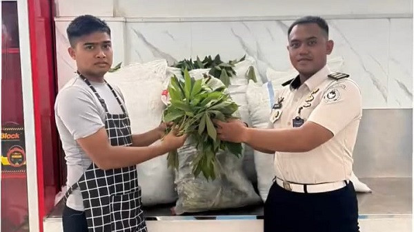 Lapas Gunung Sindur Panen 110 Kilogram Sayuran Hasil Warga Binaan