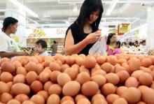 Harga Telur Ayam di Jawa Tengah Meroket Diangka Rp23.000
