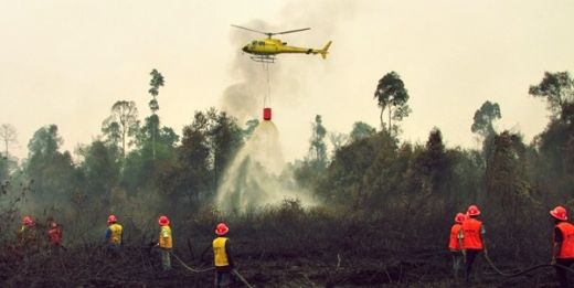 Akibat Kebakaran Hutan 2019, Indonesia Alami Kerugian Lebih dari Rp72 Triliun