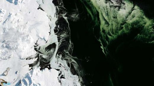 Lapisan Es di Antartika Berubah Jadi Hijau, Ada Apa?
