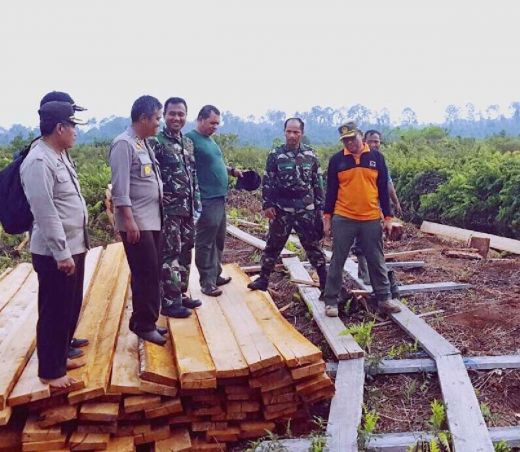 6 Prajurit Diperiksa Denpom Terkait Dugaan Oknum TNI Bekingi Ilegal Logging di Cagar Biosfer Bengkalis