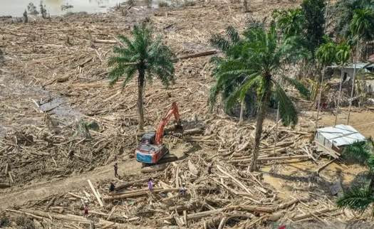 Krisis Ekologi Sumatra: Penyegelan Dinilai Setengah Hati, Pelaku Harus Diadili