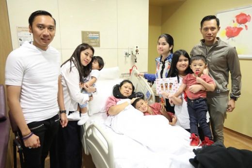 5 Fakta Leukemia, Penyakit Kanker Darah yang Diidap Ani Yudhoyono