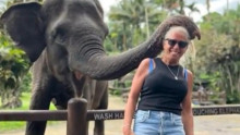 Horor! Tangan Wanita Ini Dikunyah Gajah Saat Liburan ke Bali