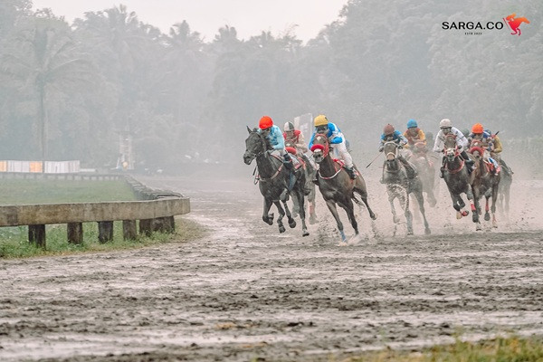 Kenapa Triple Crown di Pacuan Kuda Sangat Langka?