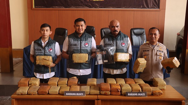 Polres Jakarta Pusat Amankan Dua Pria Simpan 53kg Ganja, Jaringan Diduga Berasal dari Aceh