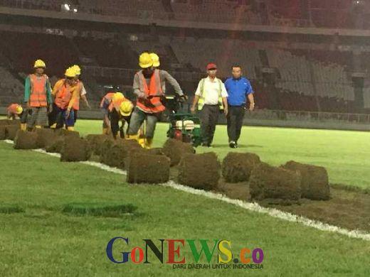Rumput Stadion Utama Gelora Bung Karno Dipindahkan ke Arena Panahan