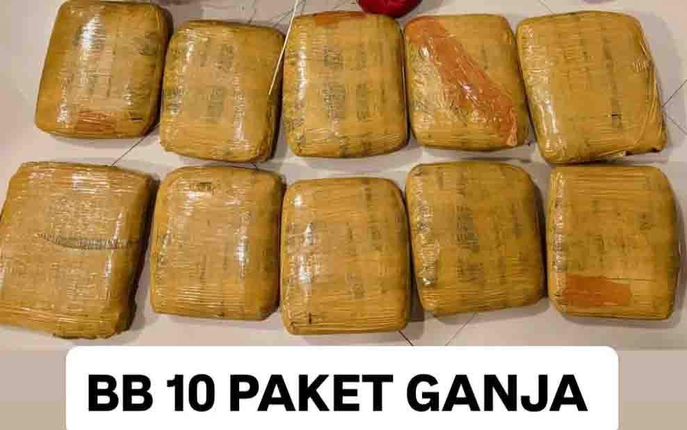 Siasat Pengiriman Ganja Lintas Pulau Terbongkar Lewat Jasa Ekspedisi di Sidoarjo