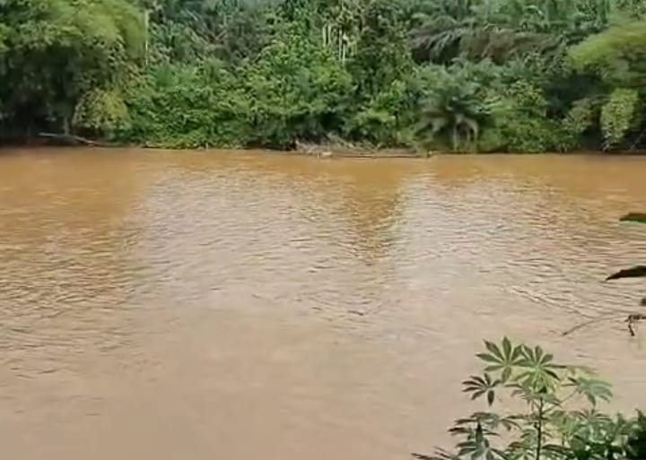 Melanggar Konstitusi Pasal 28H UUD 1945, Pencemaran Ekskavator PETI Rusak Hak Hidup Warga Kampar