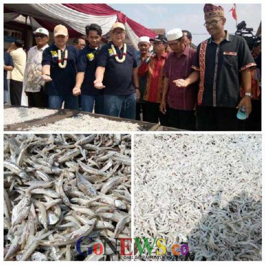 Upaya Pertahankan Sentral Pengrajin Ikan Teri di Pulau Pasaran dari Banjirnya Ikan Teri Impor