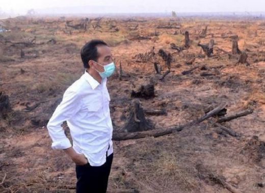 Sekjen ProDem: Jokowi Alumni Fakultas Kehutanan yang Gagal Atasi Kebakaran Hutan