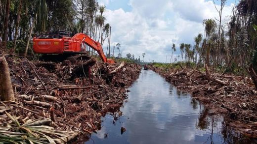 Latah, Gubernur Riau juga Bentuk Tim Restorasi Gambut