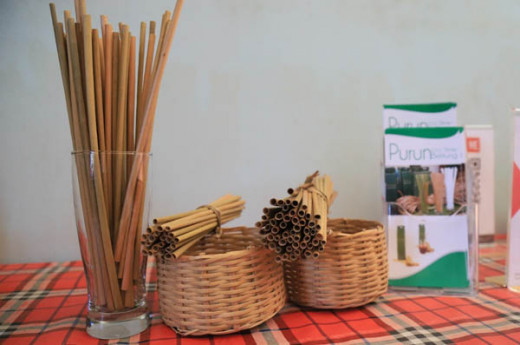 Ramah Lingkungan, Klaster Usaha Binaan BRI ‘’Purun Eco-Straw’’ Dapat Apresiasi di Sidang Umum PBB