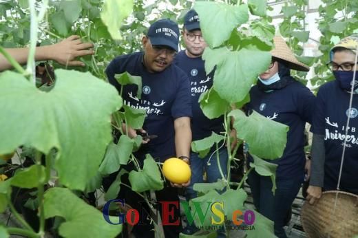 Panen Melon Organik, Gus Jazil Apresiasi IPB Hadirkan Layanan Online Belanja Sayur dari Rumah