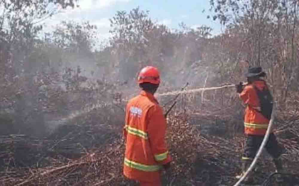 Lima Hari Api Tak Kunjung Padam di Kampar Riau, Petugas Kewalahan Hadapi Karhutla