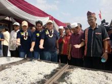 Komisi IV DPR: Yang Katanya dari Medan, Sejatinya Teri Nasi Itu Asal Lampung