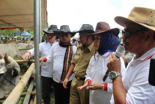 Pemerintah Targetkan Lampung Penyuplai Sapi Nasional