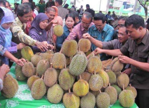 Ribuan Orang Kecewa, Jauh-jauh Datang ke GOR Pekanbaru Ternyata Acara Pesta Makan Durian Diundur Besok