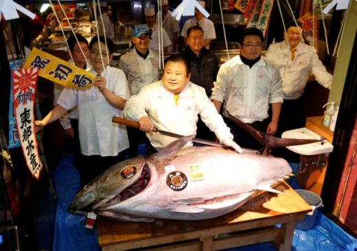 Di Jepang Harga Ikan Tuna Sirip Biru Capai Rp 8 Miliar per Ekor, Kok Bisa?