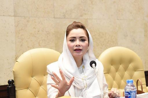 Gerindra Dorong Basarnas Tingkatkan SDM