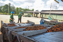 Diduga Halang-halangi Petugas Penyidik, Bos Pabrik Sawit di Riau Jadi Tersangka