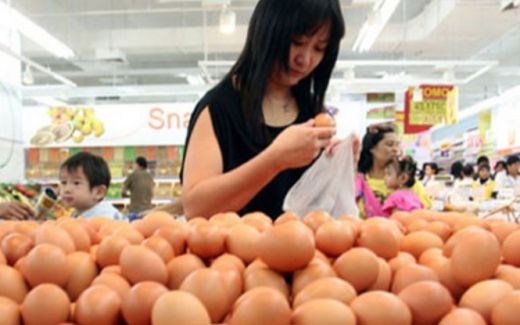 DPD RI Sesalkan Pernyataan Mendag Soal Ayam Tak Bertelur Karena Piala Dunia