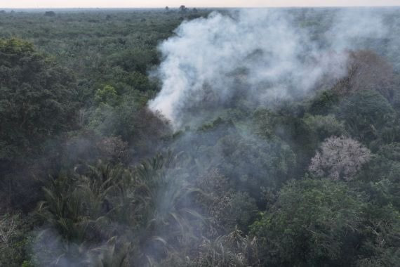 Buka Lahan dengan Cara Dibakar, Lansia di Bengkalis Berurusan dengan Polisi
