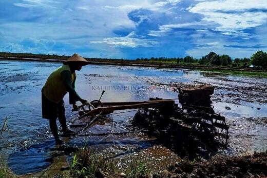 Banjir Kerap Terjadi, PKB Minta Food Estate Dievaluasi