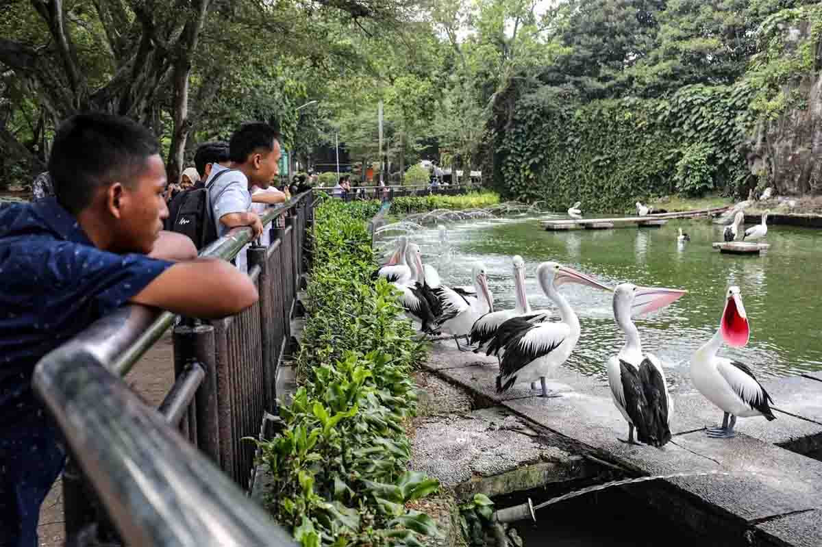 Dugaan Korupsi Pakan Ragunan Viral, Pengelola Nyatakan Terbuka untuk Pemeriksaan