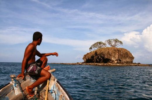 Meski Ular Laut Paling Mematikan di Dunia, Tapi Jangan Takut, Penghulu Pulau Jemur Rohil Sudah Siapkan Serum untuk Pengunjung