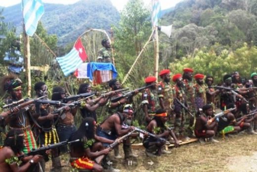 PKS: Pemerintah harus Secepatnya Membasmi KKB Papua Merdeka