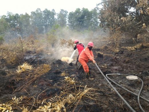 843 Hektare lahan di Riau Kembali Terbakar, BNPB: Upaya Pemadaman Masih Berlangsung