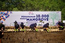 Peringati Dua Dekade Gerakan APU PPT, BRI dan PPATK Tanam 10.000 Mangrove di Badung Bali