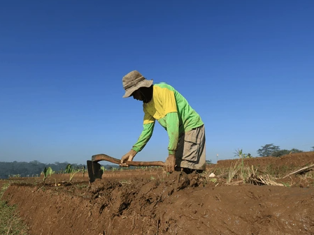 Petani Kecil Asal Riau Ini Perjuangkan Sumber Penghidupan