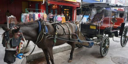 Sepi Wisatawan, Kusir Andong di Yogyakarta Terpaksa Jual Kuda Demi Bertahan Hidup