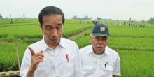 Sentil Jokowi Soal Impor Beras, PDIP: Ingat Nasib Petani