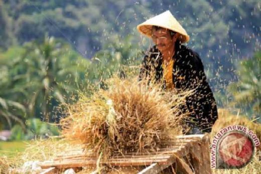 Fadli Zon: Komitmen Pemerintah Terhadap Sektor Pertanian Lemah