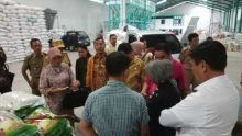 Komite II DPD RI Tinjau Pengolahan Beras Premium di Makassar
