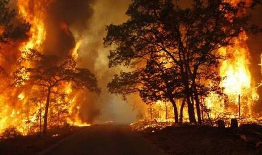 Titik Api Mulai Bermunculan, BRG Perbanyak Posko dan Infrastruktur Pembasahan