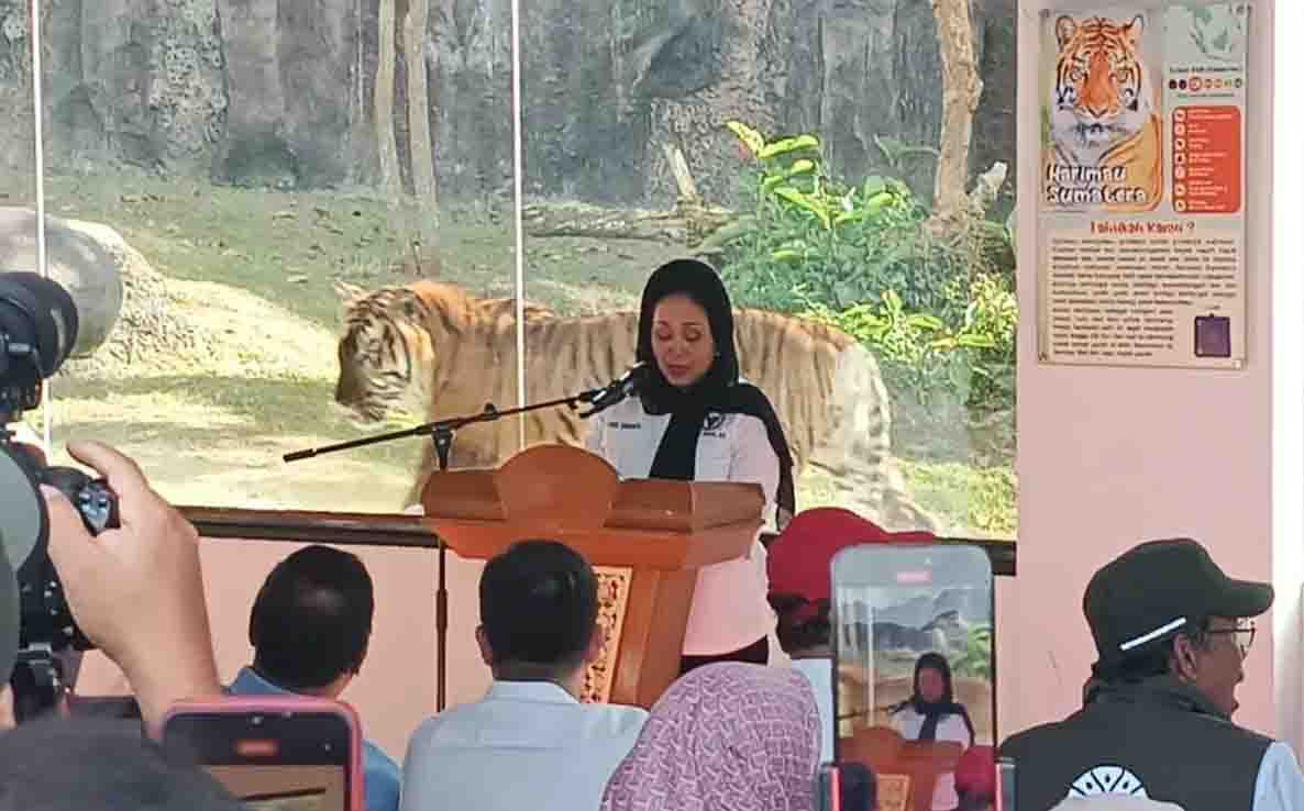 Rizky dan Lestari Kinantan, Nama Baru Anak Harimau Sumatera dari TMSBK