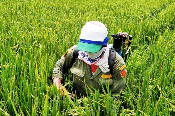 Waspada Ancaman Krisis Global, Legislator Usul Percepatan Produksi Pupuk Organik Berbahan Dasar Lokal