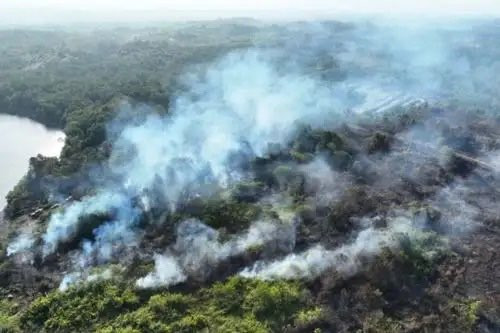 BNPB Deteksi 74 Hektare Karhutla di Kaltim, Titik Api Capai Kawasan Dekat IKN