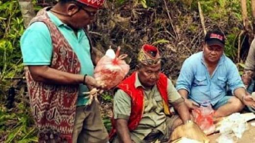 Ritual Berdarah di Pulau Bakal Ibu Kota Baru