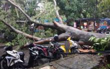 Hujan Disertai Angin Kencang, Jalan Margonda Depok Macet Akibat Pohon Tumbang