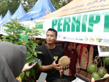 Fetival Buah Nusantara, Perhiptani Pamer Durian Rasa Bodrex