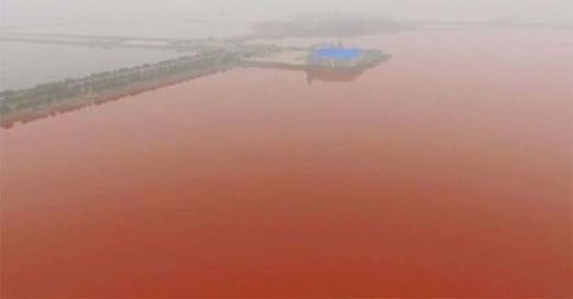 Laut Mati di Cina Ini Mendadak Berubah Warna karena Meningkatnya Suhu...