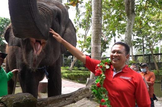 Bamsoet: Wisata Bakas Levi Rafting Elephant Tour Manjakan Turis dengan Konsep Wisata Petualang